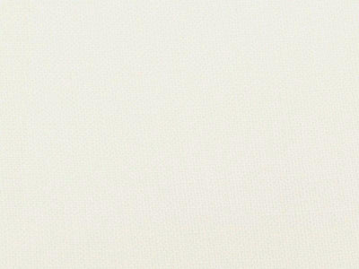 IVORY RAYON LINEN L-100