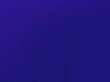 Dull Swimsuit Spandex (Matte Finish) ROYAL BLUE