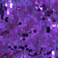 Dangle Scale Sequins PURPLE