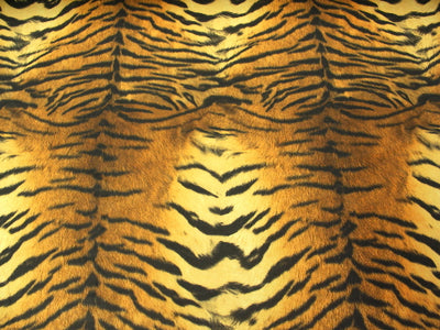 Tiger Stripes Spandex SP-48
