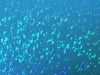 SWATCHES Metallic Hologram Foil Spandex