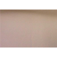 Upholstery PVC Champion Vinyl