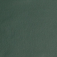 Upholstery PVC Champion Vinyl