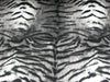 SWATCHES Upholstery Plush Velvet Prints