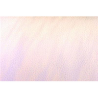 SWATCHES Upholstery PVC Champion Vinyl